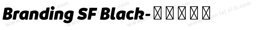 Branding SF Black字体转换